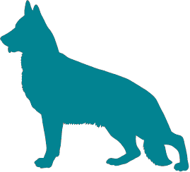 Dog size