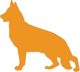 Dog size