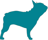 Dog size