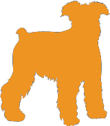Dog size