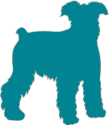 Dog size